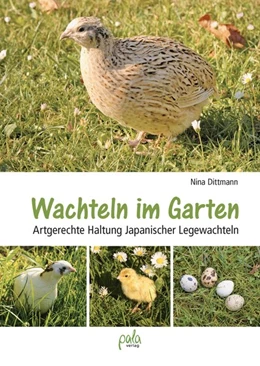 Abbildung von Dittmann | Wachteln im Garten | 1. Auflage | 2019 | beck-shop.de
