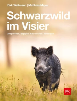 Abbildung von Waltmann / Meyer | Schwarzwild im Visier | 1. Auflage | 2019 | beck-shop.de