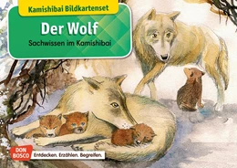 Abbildung von Stöckl-Bauer | Der Wolf. Kamishibai Bildkartenset. | 1. Auflage | 2019 | beck-shop.de