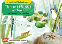 Abbildung von Stöckl-Bauer | Tiere und Pflanzen am Teich. Kamishibai-Bildkartenset. | 1. Auflage | 2019 | beck-shop.de