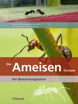 Abbildung von Wegnez / Galkowski | Die Ameisen Europas | 1. Auflage | 2019 | beck-shop.de