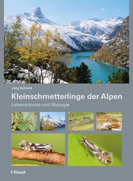 Abbildung von Schmid | Kleinschmetterlinge der Alpen | 1. Auflage | 2019 | beck-shop.de