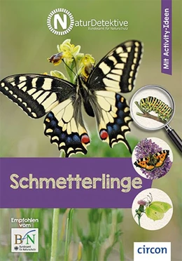 Abbildung von Kuhn / Baberg | Schmetterlinge | 1. Auflage | 2019 | beck-shop.de