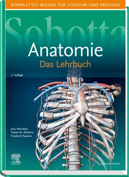 Abbildung von Waschke / Böckers | Sobotta • Lehrbuch Anatomie | 2. Auflage | 2019 | beck-shop.de