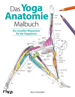 Abbildung von Solloway / Stutzman | Das Yoga-Anatomie-Malbuch | 1. Auflage | 2019 | beck-shop.de