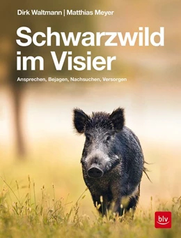 Abbildung von Meyer / Waltmann | Schwarzwild im Visier | 1. Auflage | 2019 | beck-shop.de