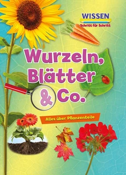 Abbildung von Owen | Wurzeln, Blätter & Co. | 1. Auflage | 2019 | beck-shop.de