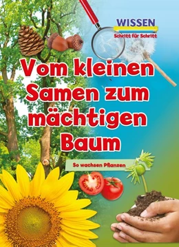 Abbildung von Owen | Vom kleinen Samen zum mächtigen Baum | 1. Auflage | 2019 | beck-shop.de
