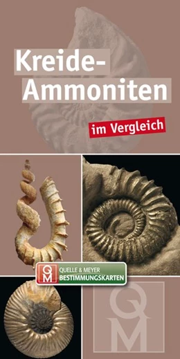 Abbildung von Quelle & Meyer Verlag | Kreide-Ammoniten | 1. Auflage | 2019 | beck-shop.de
