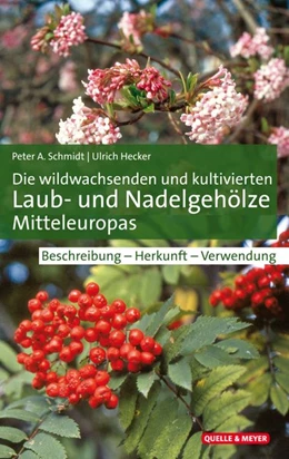 Abbildung von Schmidt / Hecker | Die wildwachsenden und kultivierten Laub- und Nadelgehölze Mitteleuropas | 1. Auflage | 2020 | beck-shop.de
