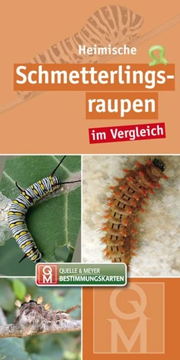 Abbildung von Quelle & Meyer Verlag | Heimische Schmetterlingsraupen im Vergleich | 1. Auflage | 2020 | beck-shop.de