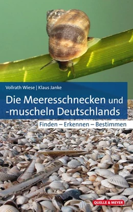 Abbildung von Wiese / Janke | Die Meeresschnecken und -muscheln Deutschlands | 1. Auflage | 2020 | beck-shop.de