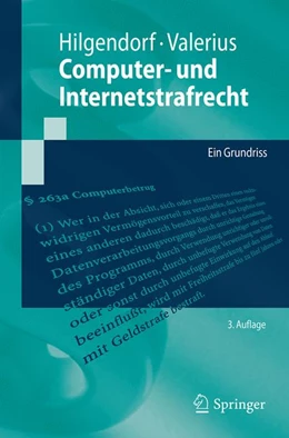 Abbildung von Hilgendorf / Valerius | Computer- und Internetstrafrecht | 3. Auflage | 2023 | beck-shop.de