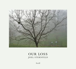 Abbildung von Sternfeld / Feroudj | Joel Sternfeld: Our Loss | 1. Auflage | 2019 | beck-shop.de