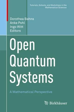Abbildung von Bahns / Pohl | Open Quantum Systems | 1. Auflage | 2019 | beck-shop.de