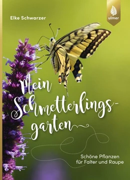 Abbildung von Schwarzer | Mein Schmetterlingsgarten | 1. Auflage | 2019 | beck-shop.de