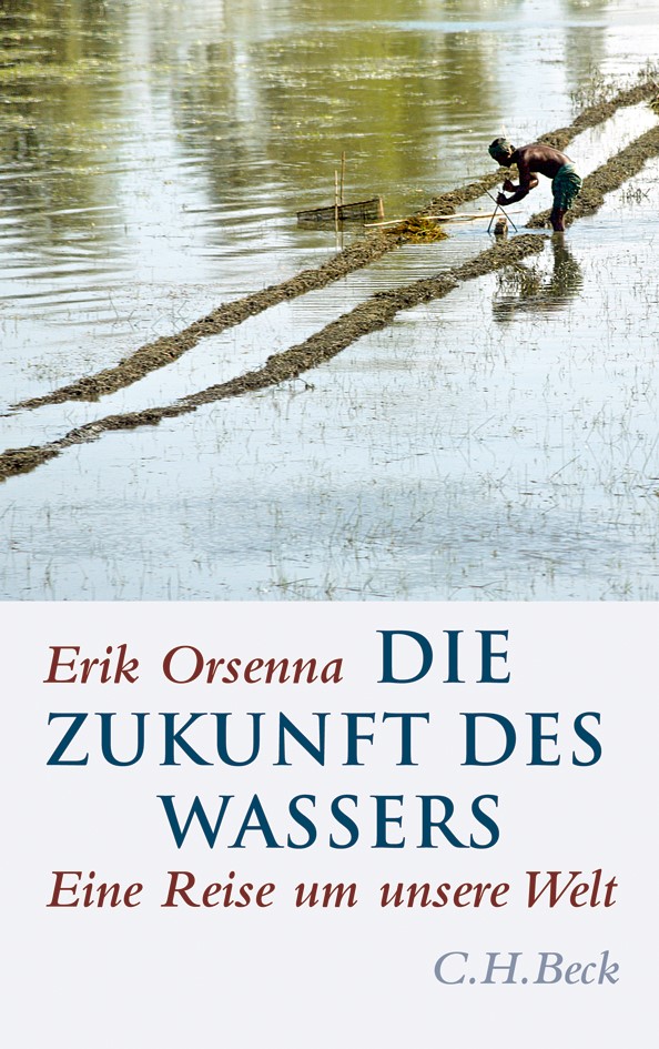 Cover: Orsenna, Erik, Die Zukunft des Wassers