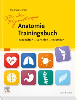 Abbildung von Dönitz | Physiotherapie Anatomie Traningsbuch | 1. Auflage | 2019 | beck-shop.de