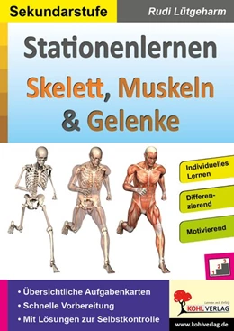Abbildung von Lütgeharm | Stationenlernen Skelette, Muskeln & Gelenke | 1. Auflage | 2020 | beck-shop.de
