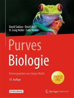 Abbildung von Sadava / Markl | Purves Biologie | 10. Auflage | 2019 | beck-shop.de
