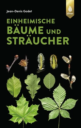 Abbildung von Godet | Einheimische Bäume und Sträucher | 1. Auflage | 2019 | beck-shop.de