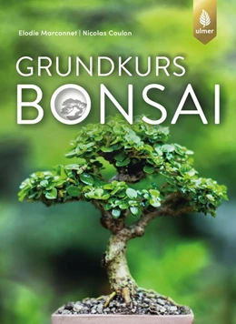 Abbildung von Marconnet / Coulon | Grundkurs Bonsai | 1. Auflage | 2019 | beck-shop.de