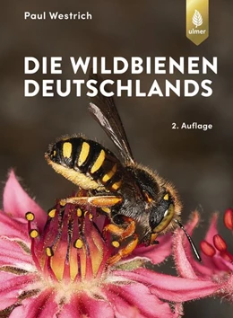 Abbildung von Westrich | Die Wildbienen Deutschlands | 2. Auflage | 2019 | beck-shop.de