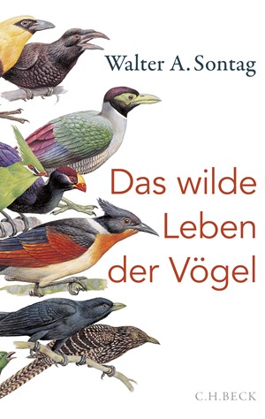 Cover: Walter A. Sontag, Das wilde Leben der Vögel