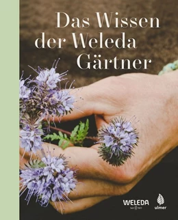 Abbildung von Verlag Eugen Ulmer | Das Wissen der Weleda Gärtner | 1. Auflage | 2019 | beck-shop.de