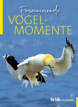 Abbildung von Falke Redaktion | Faszinierende Vogelmomente | 1. Auflage | 2019 | beck-shop.de