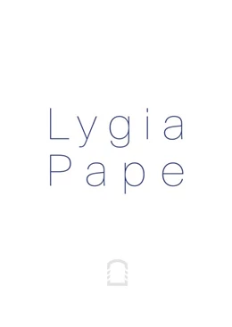Abbildung von Stocchi | Lygia Pape | 1. Auflage | 2019 | beck-shop.de