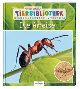 Abbildung von Gutjahr | Meine große Tierbibliothek: Die Ameise | 1. Auflage | 2020 | beck-shop.de