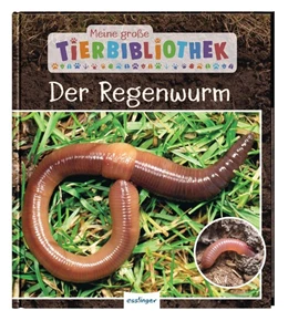 Abbildung von Tracqui | Meine große Tierbibliothek: Der Regenwurm | 1. Auflage | 2020 | beck-shop.de