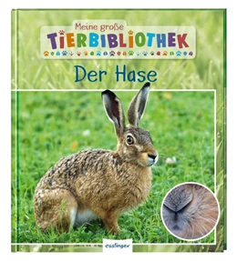 Abbildung von Poschadel | Meine große Tierbibliothek: Der Hase | 1. Auflage | 2020 | beck-shop.de
