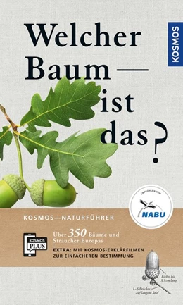 Abbildung von Spohn | Welcher Baum ist das? | 1. Auflage | 2020 | beck-shop.de