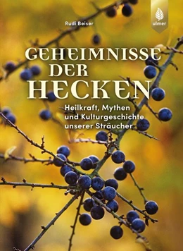 Abbildung von Beiser | Geheimnisse der Hecken | 1. Auflage | 2019 | beck-shop.de