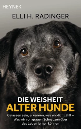Abbildung von Radinger | Die Weisheit alter Hunde | 1. Auflage | 2020 | beck-shop.de