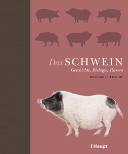 Abbildung von Lutwyche | Das Schwein | 1. Auflage | 2020 | beck-shop.de