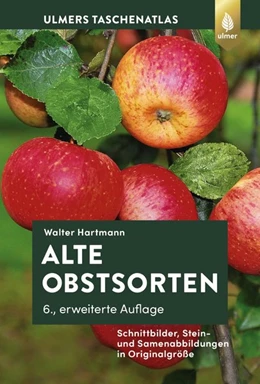 Abbildung von Hartmann | Alte Obstsorten | 6. Auflage | 2020 | beck-shop.de