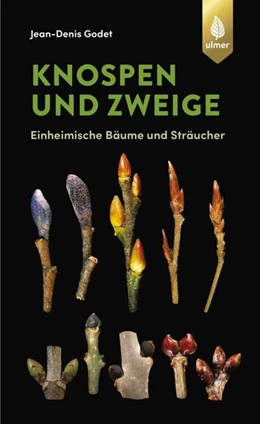 Abbildung von Godet | Knospen und Zweige | 1. Auflage | 2020 | beck-shop.de