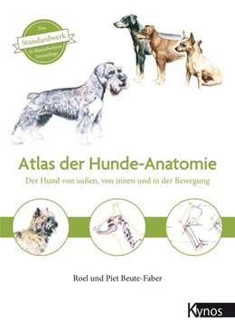 Abbildung von Beute-Faber | Atlas der Hundeanatomie | 4. Auflage | 2020 | beck-shop.de