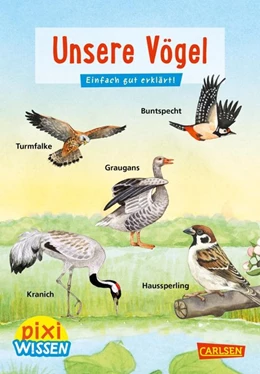 Abbildung von Oftring | Pixi Wissen 108: VE 5 Unsere Vögel (5 Exemplare) | 1. Auflage | 2020 | beck-shop.de
