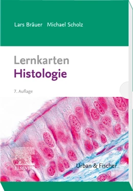 Abbildung von Bräuer / Scholz | Lernkarten Histologie | 7. Auflage | 2020 | beck-shop.de
