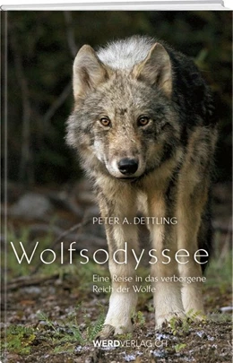 Abbildung von Dettling | Wolfsodyssee | 1. Auflage | 2020 | beck-shop.de