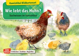 Abbildung von Stöckl-Bauer | Wie lebt das Huhn? Kamishibai Bildkartenset. | 1. Auflage | 2021 | beck-shop.de