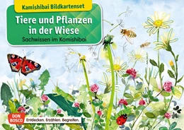 Abbildung von Stöckl-Bauer | Tiere und Pflanzen in der Wiese. Kamishibai Bildkartenset. | 1. Auflage | 2021 | beck-shop.de