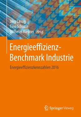 Abbildung von Lässig / Schütte | Energieeffizienz-Benchmark Industrie | 1. Auflage | 2018 | beck-shop.de