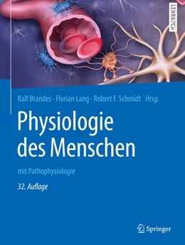 Abbildung von Brandes / Lang | Physiologie des Menschen | 32. Auflage | 2019 | beck-shop.de