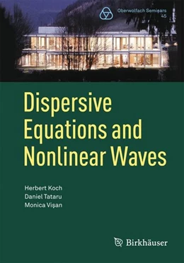 Abbildung von Koch / Tataru | Dispersive Equations and Nonlinear Waves | 1. Auflage | 2014 | beck-shop.de