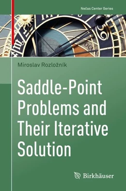 Abbildung von Rozlozník | Saddle-Point Problems and Their Iterative Solution | 1. Auflage | 2018 | beck-shop.de